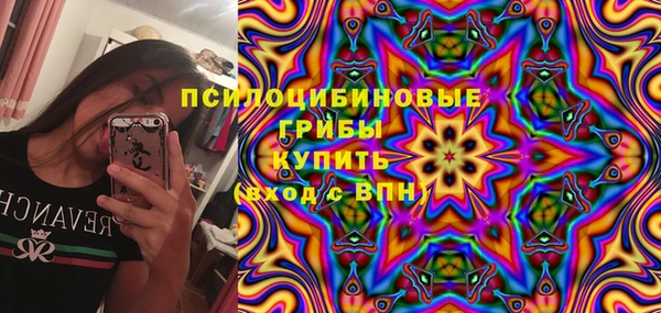 таблы Новокубанск