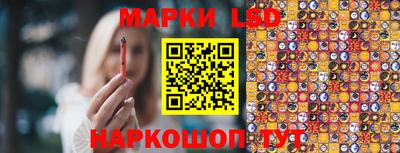 гашик Гусь-Хрустальный
