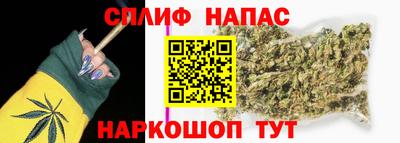 гашик Гусь-Хрустальный