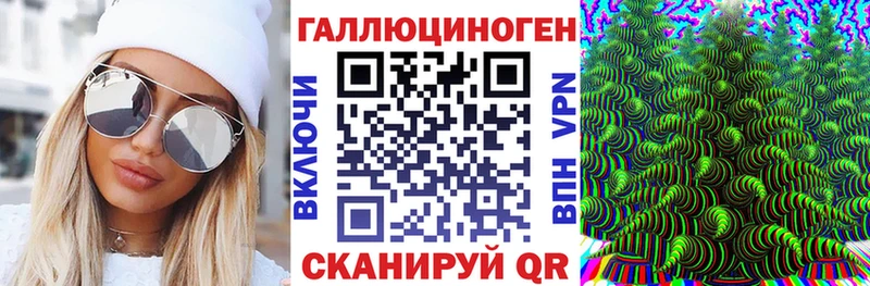 мега зеркало  цена наркотик  Карачаевск  Галлюциногенные грибы Cubensis 