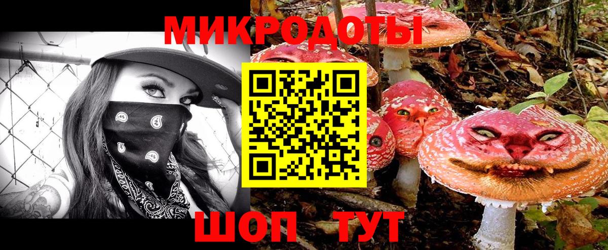Карачаевск  Галлюциногенные грибы мицелий  Вход с VPN 